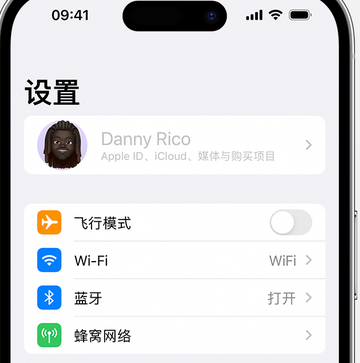 台山appleID维修服务iPhone设置中Apple ID显示为灰色无法使用 