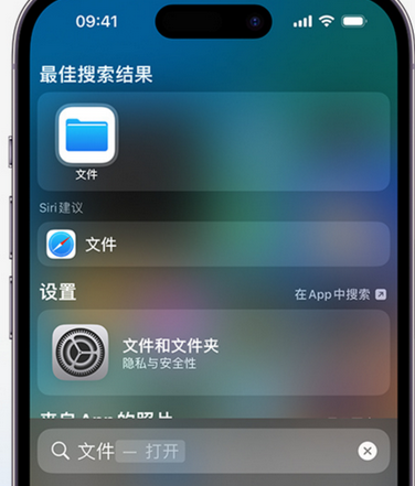 台山apple维修中心分享iPhone文件应用中存储和找到下载文件 