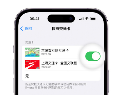 台山apple维修点分享iPhone上更换Apple Pay快捷交通卡手绘卡面 