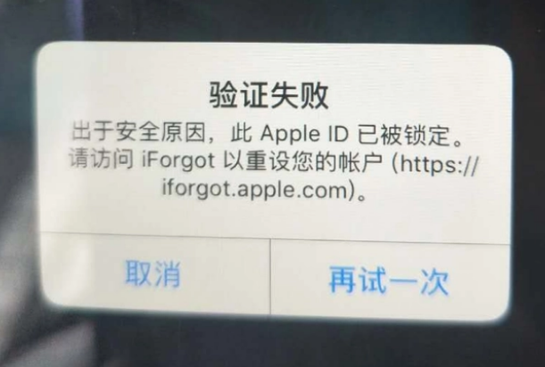 台山iPhone维修分享iPhone上正常登录或使用AppleID怎么办 