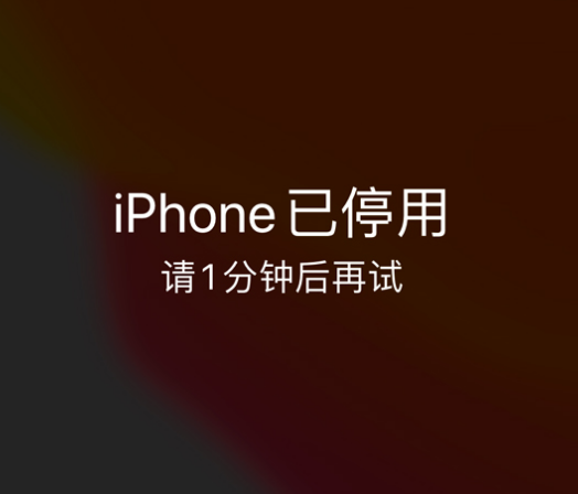 台山苹果手机维修分享:iPhone 显示“不可用”或“已停用”怎么办？还能保留数据吗？ 