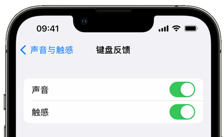 台山苹果手机维修分享iPhone 14触感键盘使用方法 