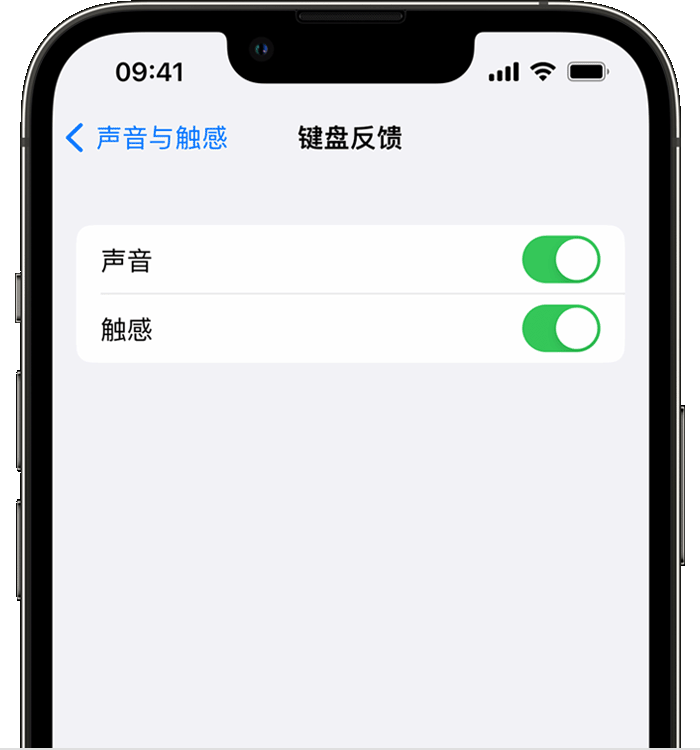 台山苹果14维修店分享如何在 iPhone 14 机型中使用触感键盘 