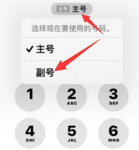 台山苹果14维修店分享iPhone 14 Pro Max使用副卡打电话的方法 