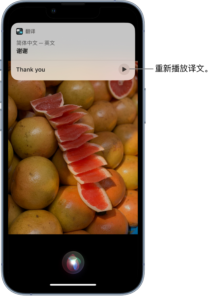 台山苹果14维修分享 iPhone 14 机型中使用 Siri：了解 Siri 能帮你做什么 