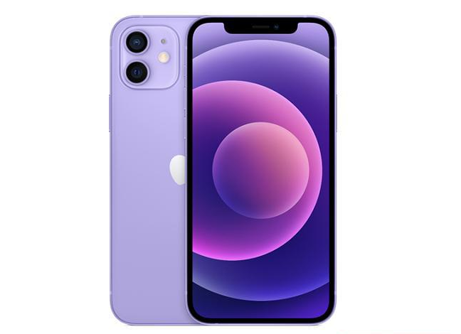 台山苹果手机维修分享现阶段要不要入手紫色版iPhone12 